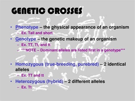 Ppt Chapter 9 Fundamentals Of Genetics Powerpoint Presentation Free