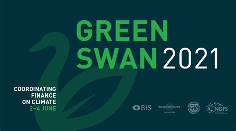 Green Swan 2021 Coordinating Finance On Climate