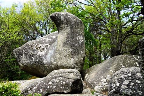 Castres An Unknown Gem In The Languedoc And A Ruined Abbey Paris