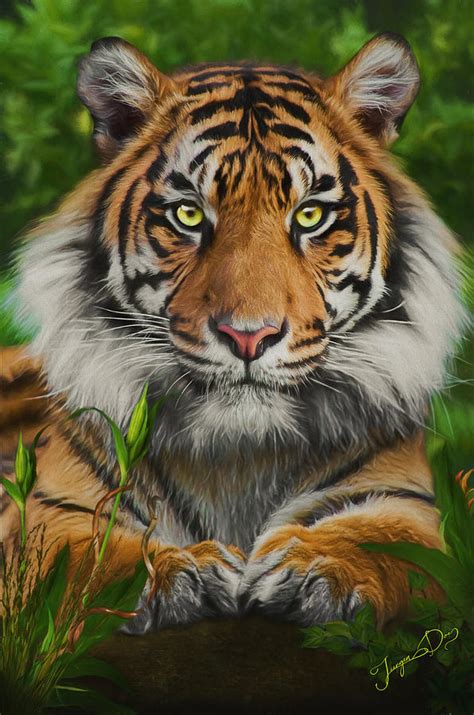 Sumatran Tiger Portrait Painting By Jurgen Doelle Fine Art America