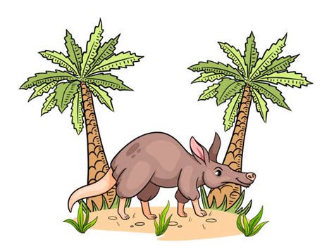 90+ Aardvark Nose Stock Illustrations, Royalty-Free Vector Graphics & Clip Art - iStock