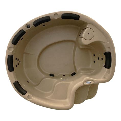 Laguna Hot Tubs Laguna Spas Person Jet Plug And Play Hot Tub Reviews Wayfair