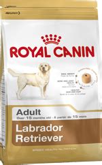 Купить Royal Canin (Роял Канин) Labrador retriever Adult Сухой корм для ...