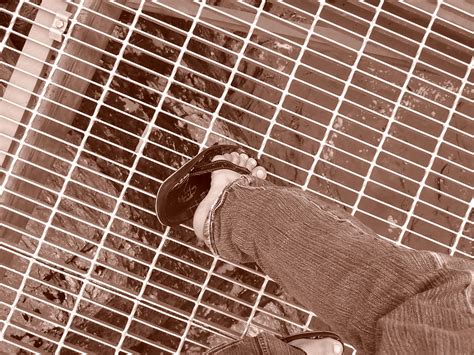 Perfect Feet Porn Pictures XXX Photos Sex Images 538541 PICTOA