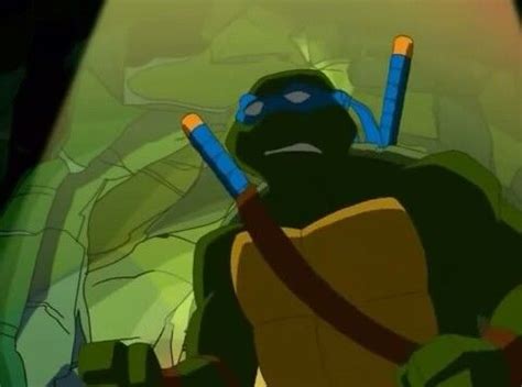 Teenage Mutant Ninja Turtles 2003 | Animated TMNT Image