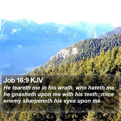 Job 169 Kjv He Teareth Me In His Wrath Who Hateth Me He