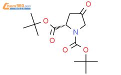 N Boc Oxo L Proline Tert Butyl Ester