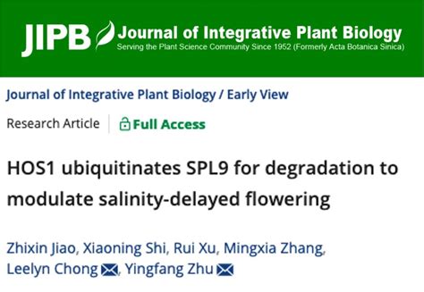 祝英方教授团队发文揭示核孔复合体成员hos1通过泛素化降解spl9调节植物在盐胁迫下开花延迟 作物逆境适应与改良国家重点实验室