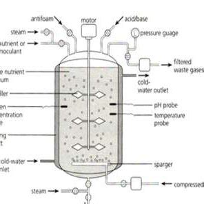 Pdf Bioreactors Technology Design Analysis