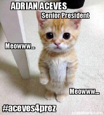 Adrian Aceves Senior President Meowww Meowww Aceves Prez Meme