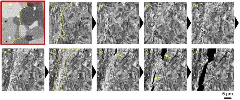 In Situ SEM Observation Of A Tensile Fracture Process ST Instruments