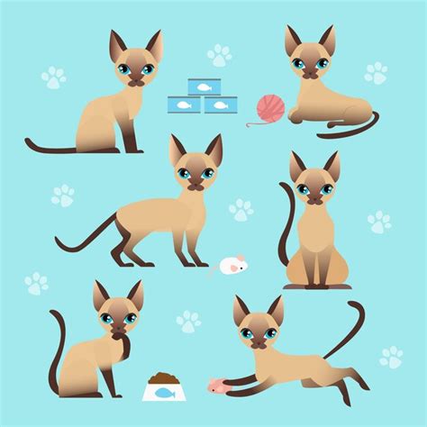 Premium Vector Vector Illustration Set Of Cute Cat In Different Poses