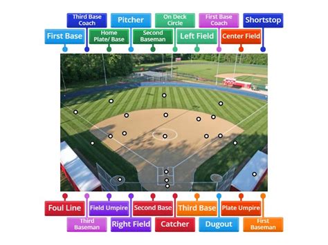 Label the Softball Field - Labelled diagram