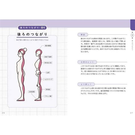 世界一わかりやすい筋肉のつながり図鑑 通販｜セブンネットショッピング