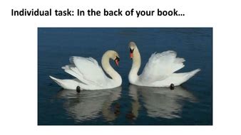 Winter Swans | Teaching Resources