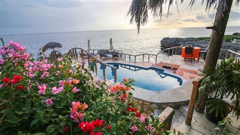 Catcha Falling Star In Negril Jamaica Expedia