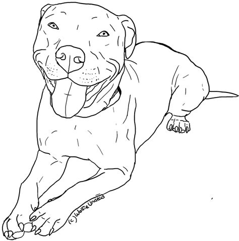 Blue Pitbull Puppies Pages Coloring Pages