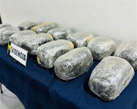 Pdi Arica Incaut M S De Mil Dosis De Drogas En Valle De Azapa