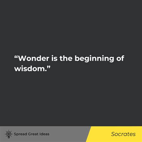 Wisdom & Philosophy Quotes: The Importance of Wisdom & Philosophy