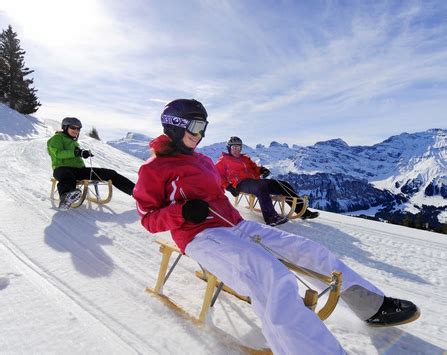 La luge comment piloter et comment ça marche je fais du sport