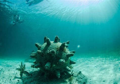 Cancun Drive An Speedboat And Snorkel In Coral Reef