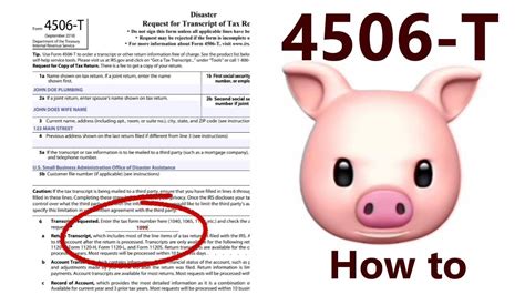 4506T Form For SBA EIDL Loan 2nd Round How To Fill Out Step By Step