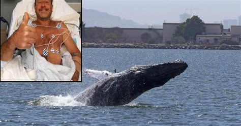 La Incre Ble Historia Del Hombre Que Fue Tragado Por Una Ballena De