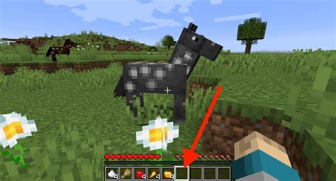 Wie Z Hmt Man Ein Pferd In Minecraft Minecraft Tutos