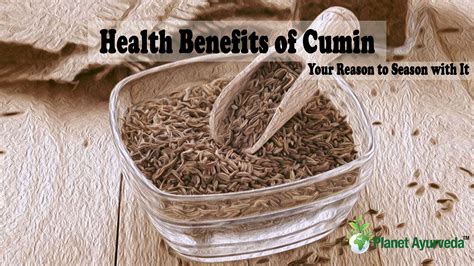 Health Benefits Of Cumin Your Reason To Season With It