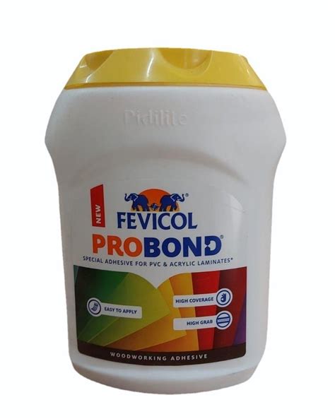 1 Kg Probond Special Fevicol Adhesive At Rs 390 Piece Fevicol