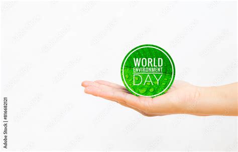 World Environment Day Banner In Girl Hand With Space On White Background World Environmental