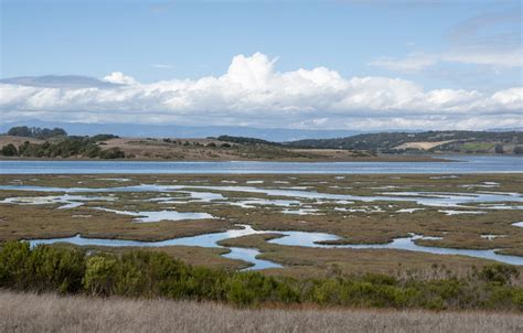 Elkhorn Slough