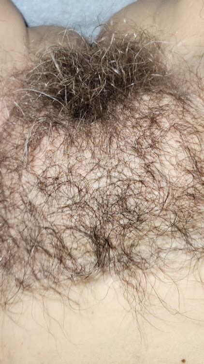 Reblog If You Like My Hairy Pussy Tumbex