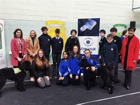 Students learn life-saving skills during CPR challenge - Killarney