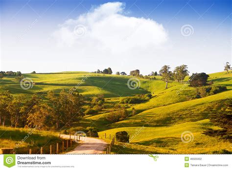 Scenic rural Australia stock photo. Image of farm, agriculture - 46505002