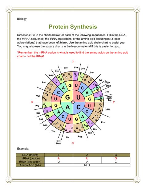 Protein Synthesis