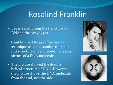 Rosalind Franklin Dna Structure