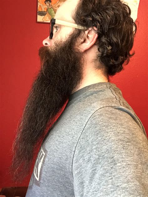 Side beard - freshly washed, oiled and brushed : r/beards