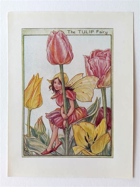 Tulip Flower Fairy Print Flower Fairy Prints