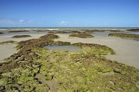 Great Barrier Reef Our Beautiful Pictures Are Available As Framed