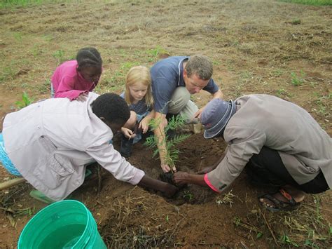 Tree Planting In Kisesa Emmanuel International Uk