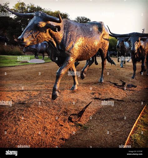 Cattle drive art hi-res stock photography and images - Alamy