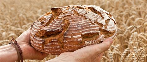 Über uns Bäckerei Sproßmann GmbH in Schwabach