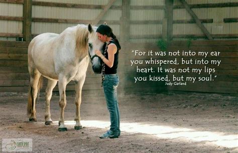 Horse Lovers Quotes. QuotesGram