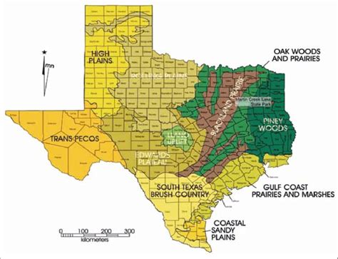 Texas Education Regions Map