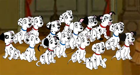 101 Dalmatians Puppies