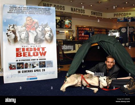 Eight Below Movie Poster