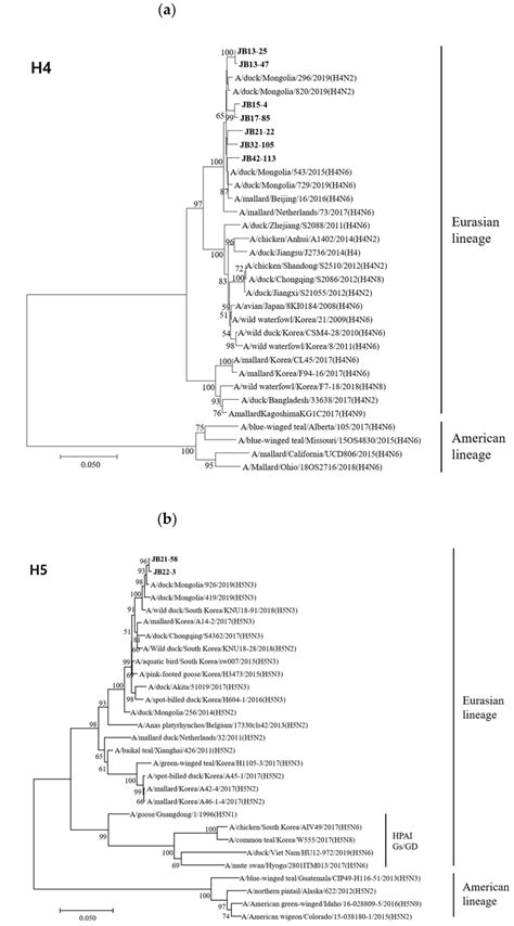 Phylogenetic Trees Based On The Nucleotide Sequences Of H A H B