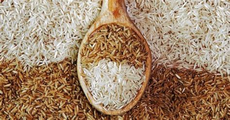 Польза и вред коричневого и белого риса: какой рис полезнее - Телеграф