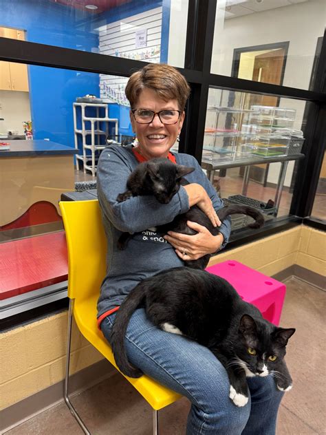 Volunteer – Ohio Alleycat Resource (OAR) & Spay/Neuter Clinic